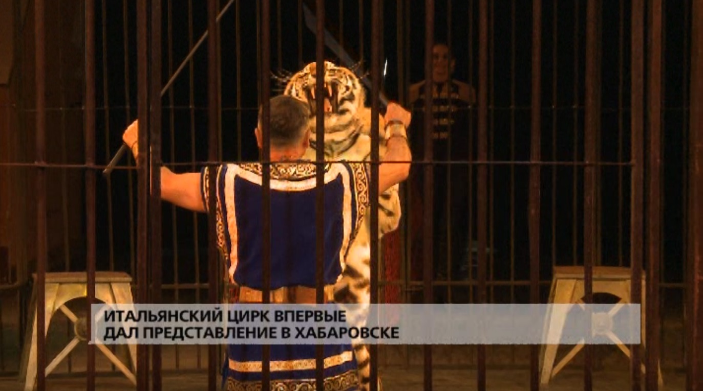 Итальянский цирк впервые дал представление в Хабаровске