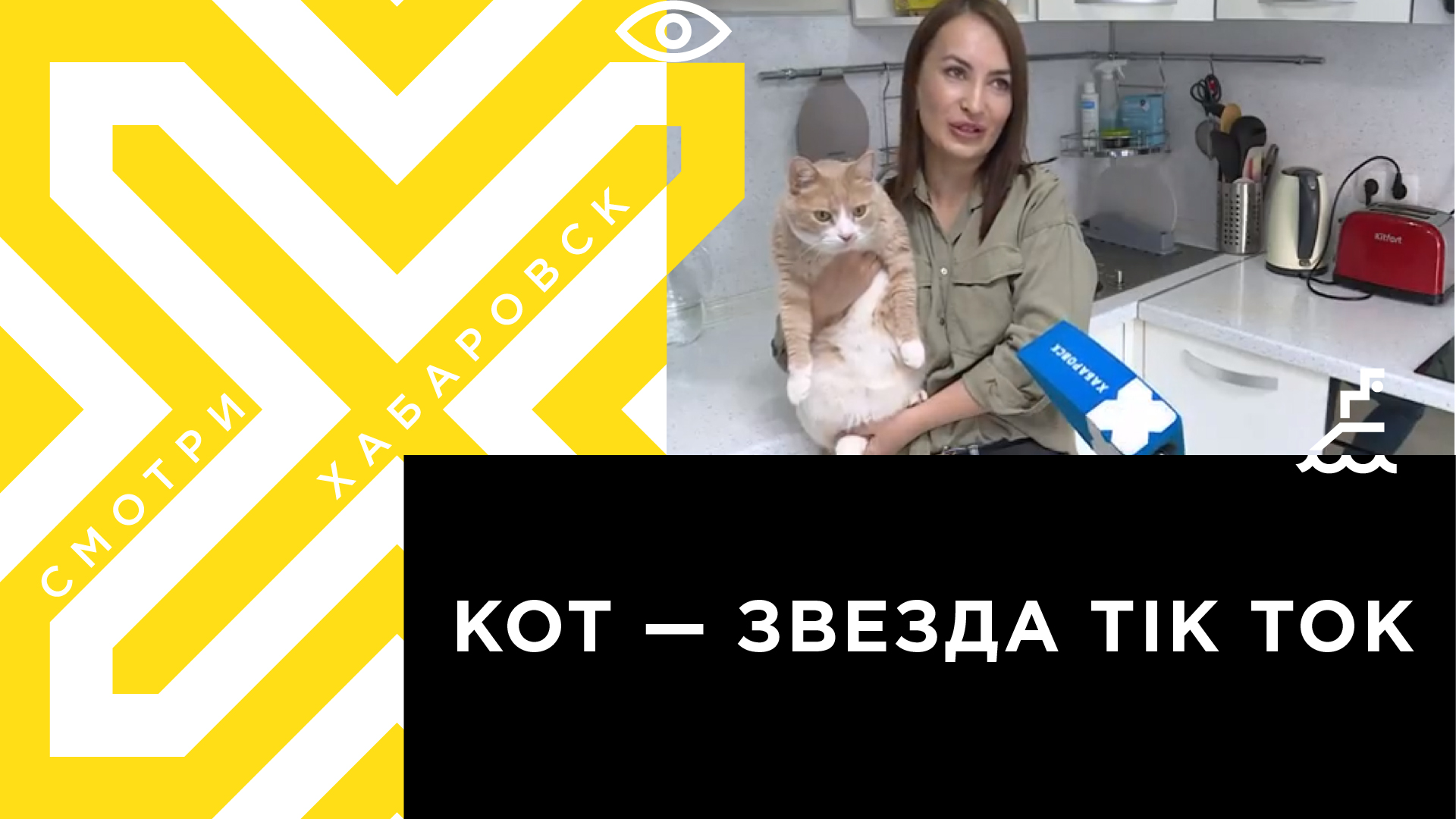 Хабаровский кот стал звездой TikTok | Телеканал 